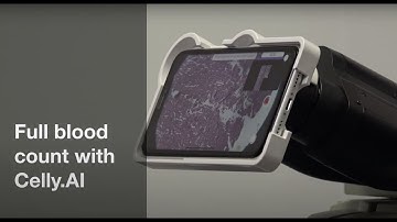 Celly.AI - Full blood count using Artificial Intelligence