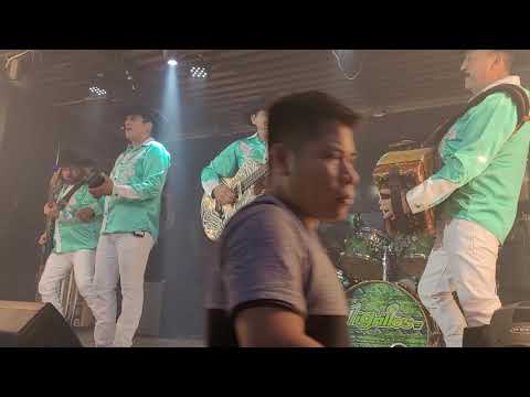 Tigrillos Presentacion En Vivo - Mira que Linda es Lupe 2021