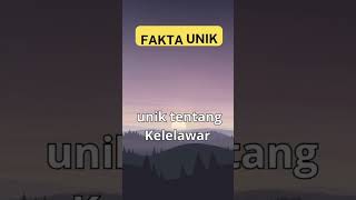 fakta unik kelelawar #ilmu30detik #faktaunik #UNIKFAKTA