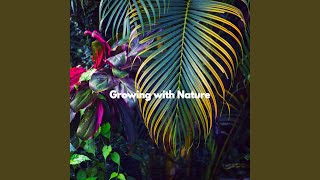 Refined Backdrops for Knowing Essentials