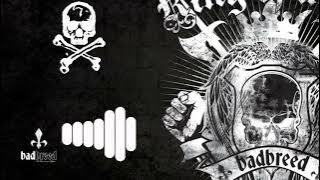 Crona x Zeus - Who Doesn't Wanna Fall In Love | Attitude Ringtone | 2021 Ringtone | BGM Ringtone2021