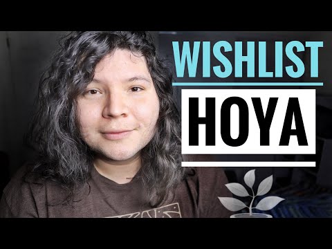 WISHLIST HOYA UNBOXING