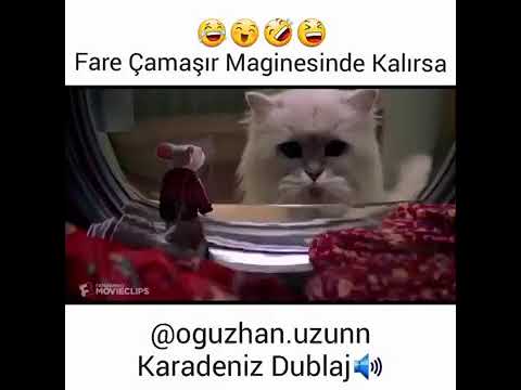 Oğuzhan Uzun (Karadeniz Dublaj) - Fare Çamaşır Makinasında Kalırsa