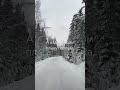 Белый снег Shorts цой кино белыйснег 