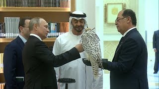 Путин подарил наследному принцу Абу-Даби белого кречета