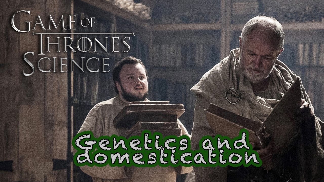 Game of Thrones Science: The Genetics of Targaryens Dragon Control, Starks' Warging Powers