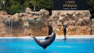 Loro Parque Walking Tour (2022)