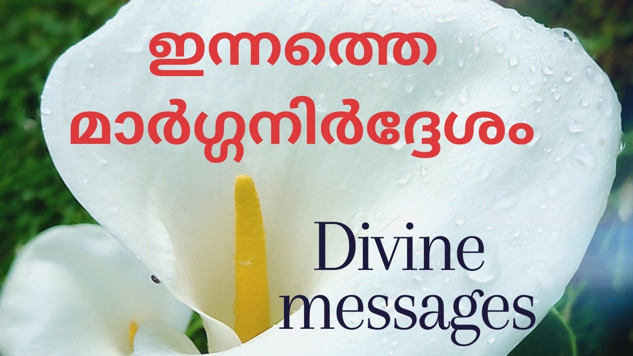 🌄വ്യാഴാഴ്ച FEB 26  2026 💸Today's Divine Messages🧿#collective 🌼 #thursday #2026