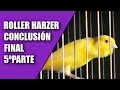 Visitando Aviarios (Roller Harzer, conclusión final) 5ªPARTE