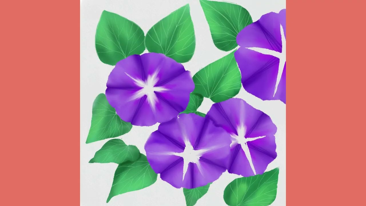 Nixpix art of the day-  Moonflowers or Morning Glories