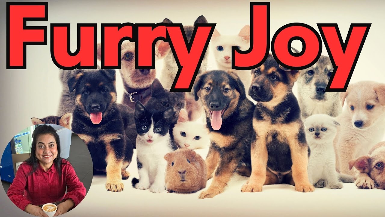 Celebrate National Love Your Pet Day: Heartwarming Stories, Tips & Fun Ideas!