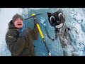 Эти опасные и жуткие находки мы нашли во льдах, где затонул Картун Кэт!