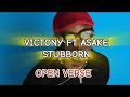 Victony ft Asake - Stubborn (Open Verse) Instrumental