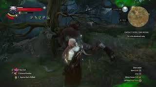 The Witcher 3 - Fiend Going Ballistic