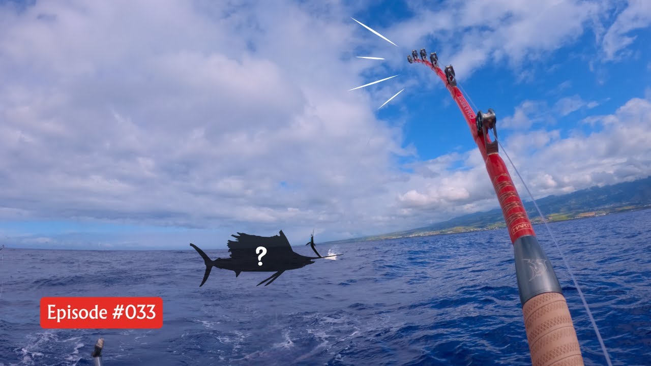 À PEINE SORTIS du Port, GROSSE TOUCHE à la traîne ! Pêche à La Réunion !