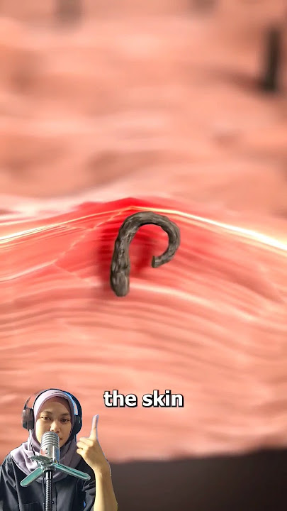 Proses Tumbuhnya Rambut Ketika Dicukur #satisfying #science #microscope #trending #education #shorts