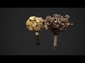 Bouquet of Roses Bridal Dried Flowers Set 3D Model