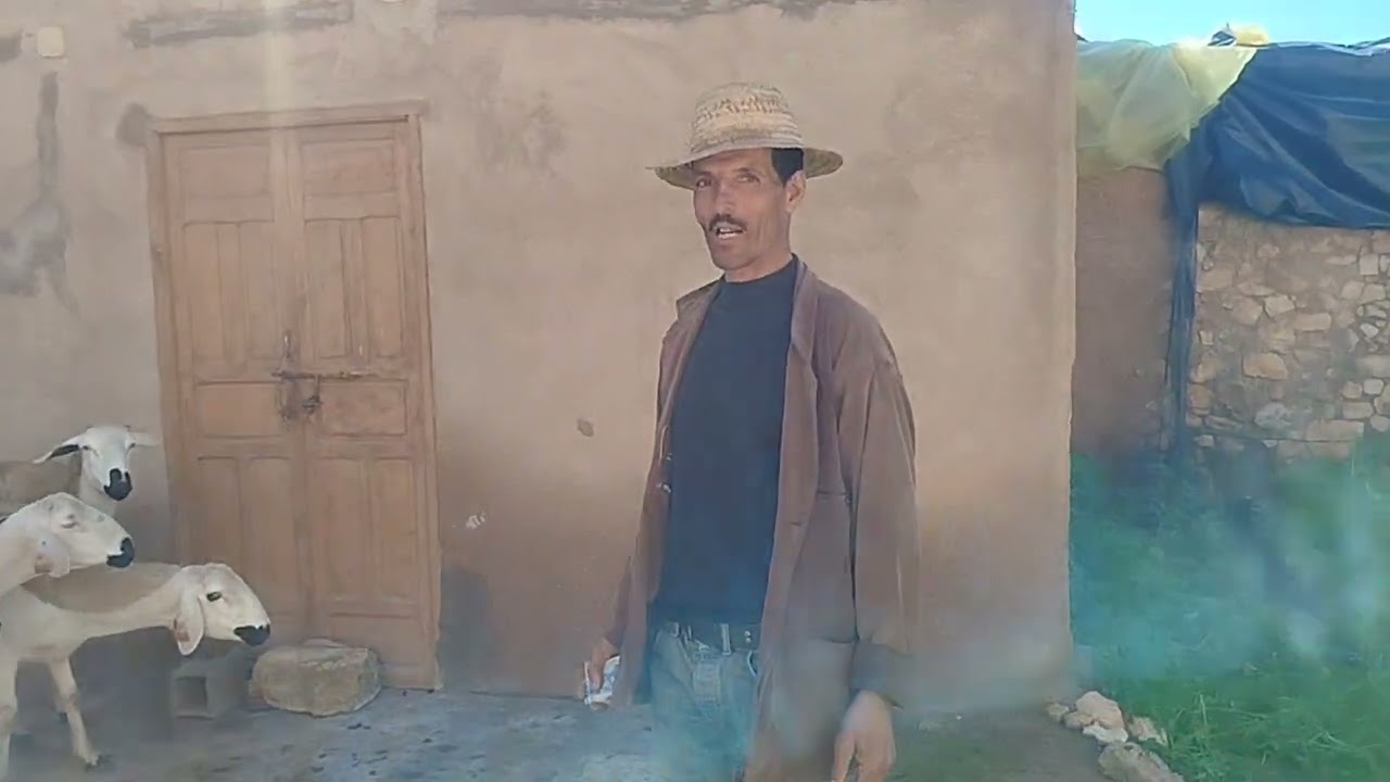 بسم الله نشارك معاكم 10نعجات أنوك گرگاع معرضين للبيع بتاريخ 24/2/2026//0643853375