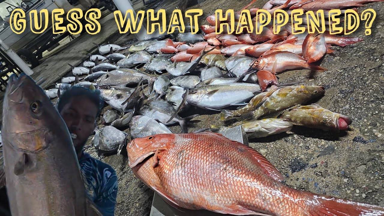 FISHING IN SHARK INFESTED WATERS NORTH #Trinidad   🇹🇹 Guess What Happened - Cpt Dillon 