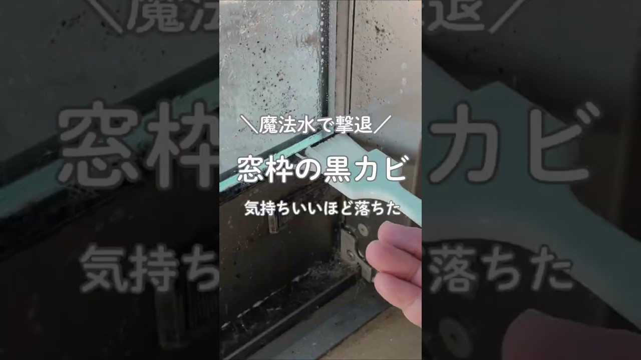 窓枠の黒カビを魔法水で1発解決‼️#掃除 #掃除方法 #窓枠#サッシ掃除 #ズボラ主婦