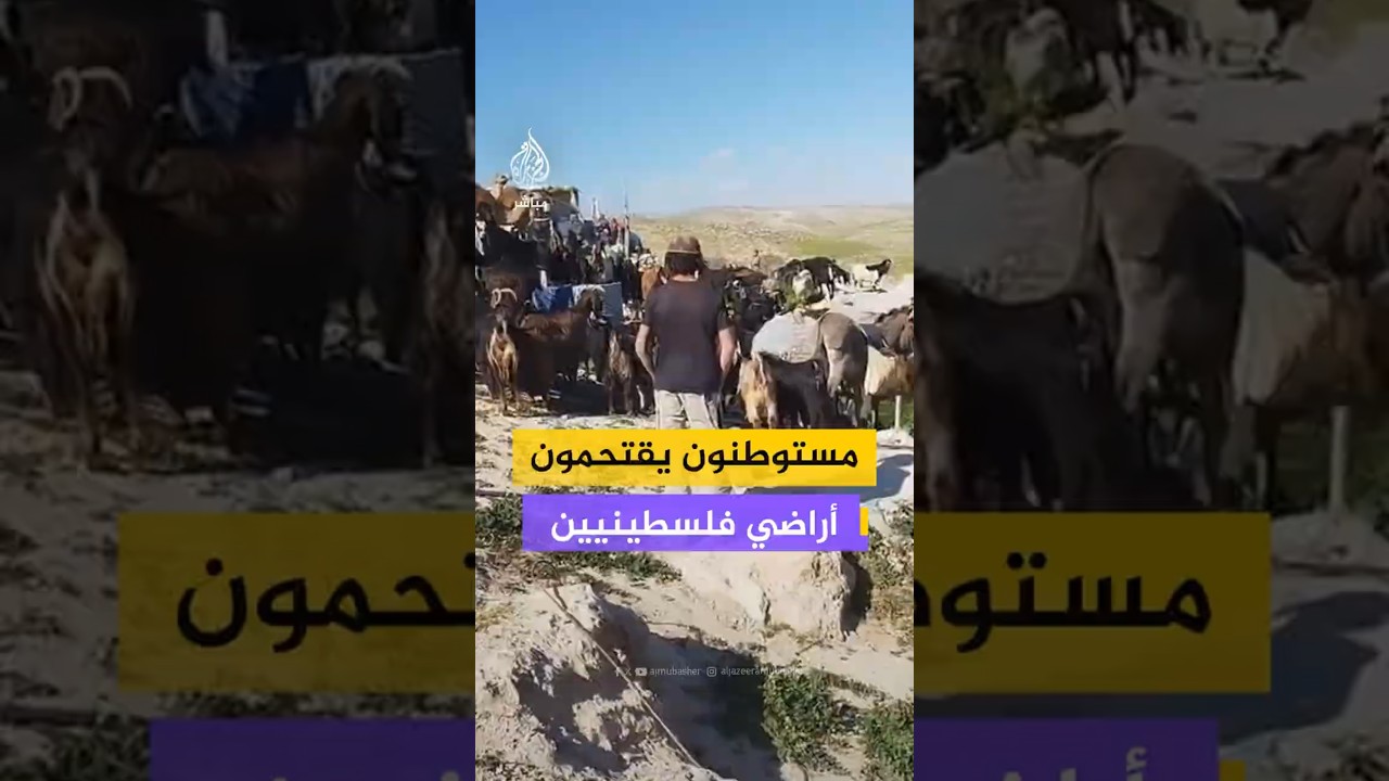 مستوطنون يقتحمون أراضي فلسطينيين