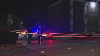 Men Accused of Tampering with Cars in Custody After Police Shooting and Chase