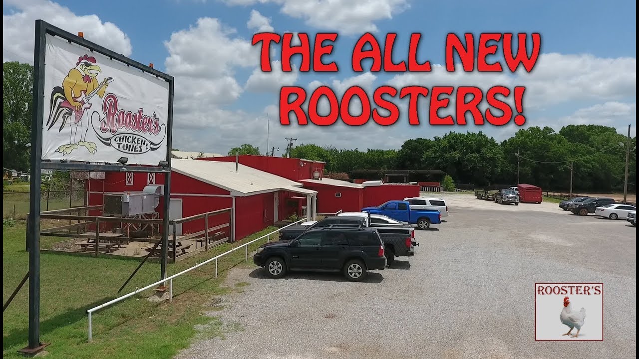 THE ALL NEW ROOSTERS IN HENNESSEY, OKLAHOMA! YouTube