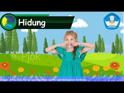 Video: Cara Mengurangi Kecemasan Terbang pada Anak: 12 Langkah (dengan Gambar)