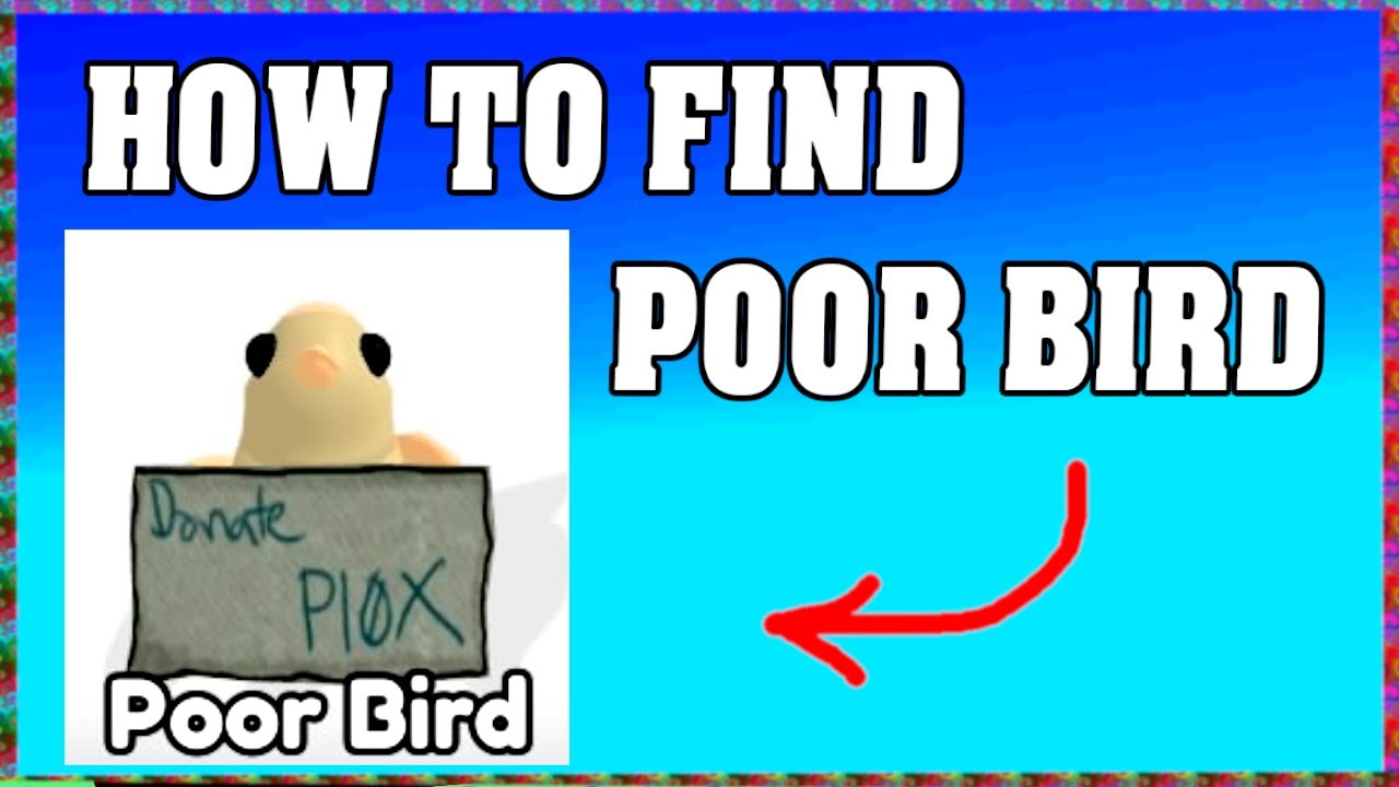 How To Find POOR BIRD in FIND THE BIRDS ROBLOX 🦜 [walkthrough]