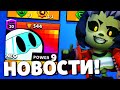 🔥БРАВЛЕР НЕО! НОВЫЕ СКИНЫ В БРАВЛ СТАРС! НОВОСТИ BRAWL STARS!