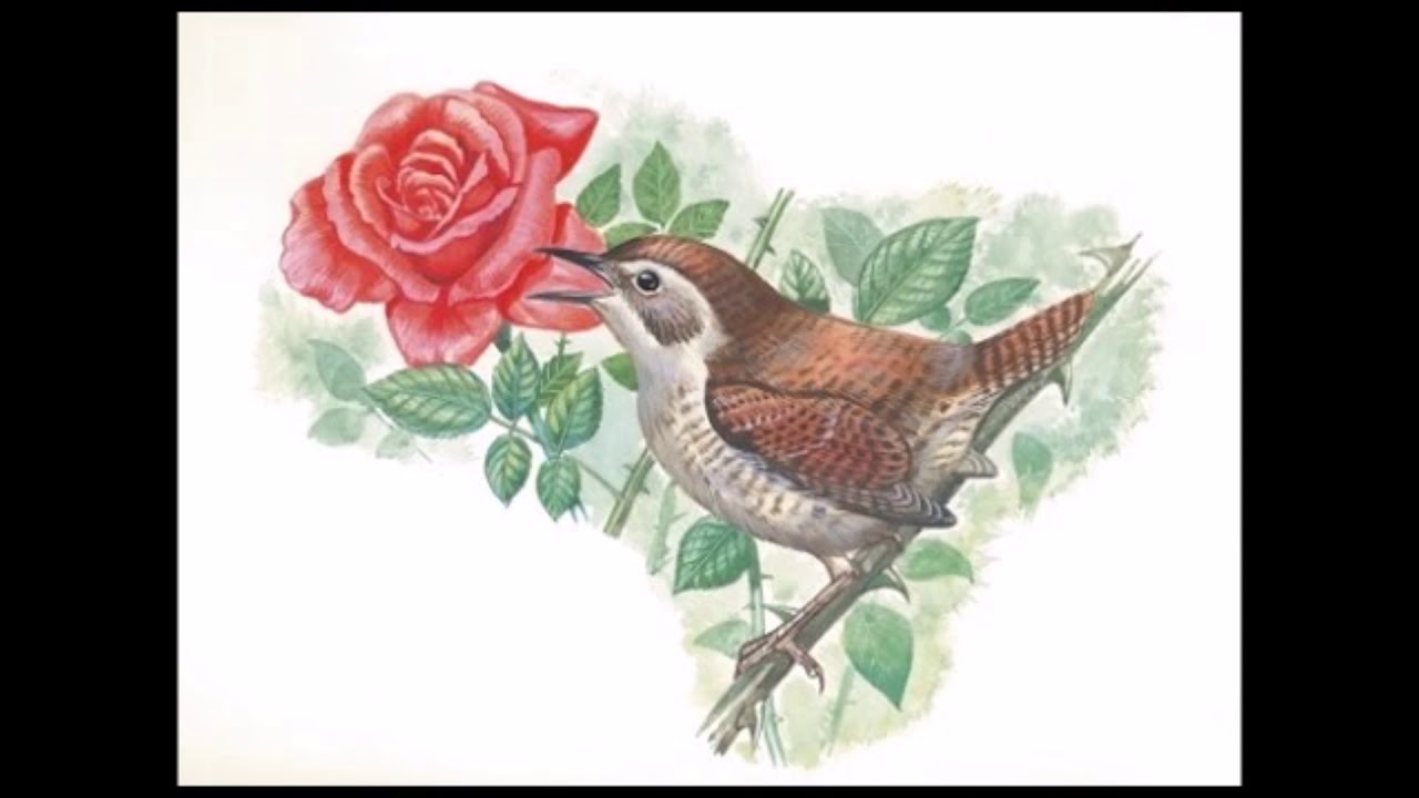 Hâfız Ali Çevik Hocadan Mükemmel Bir Kasîde...