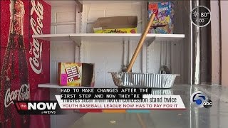 Akron baseball league suffers after burglary- Tara Molina