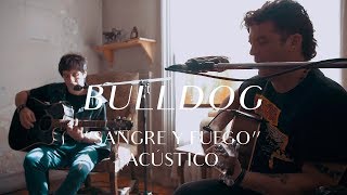 Bulldog - Sangre y Fuego (CMTV Acústico) chords