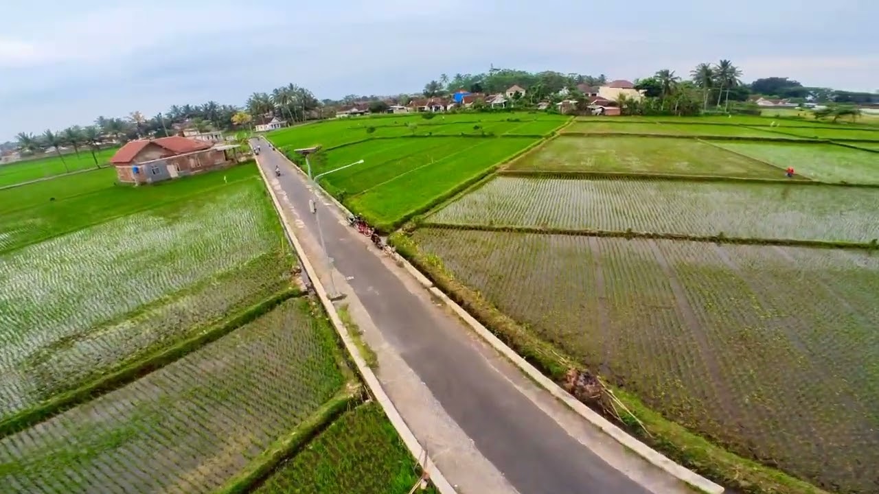 Test Mobula 7 Update elrs v3 blue jay dan Betaflight 4.3.1