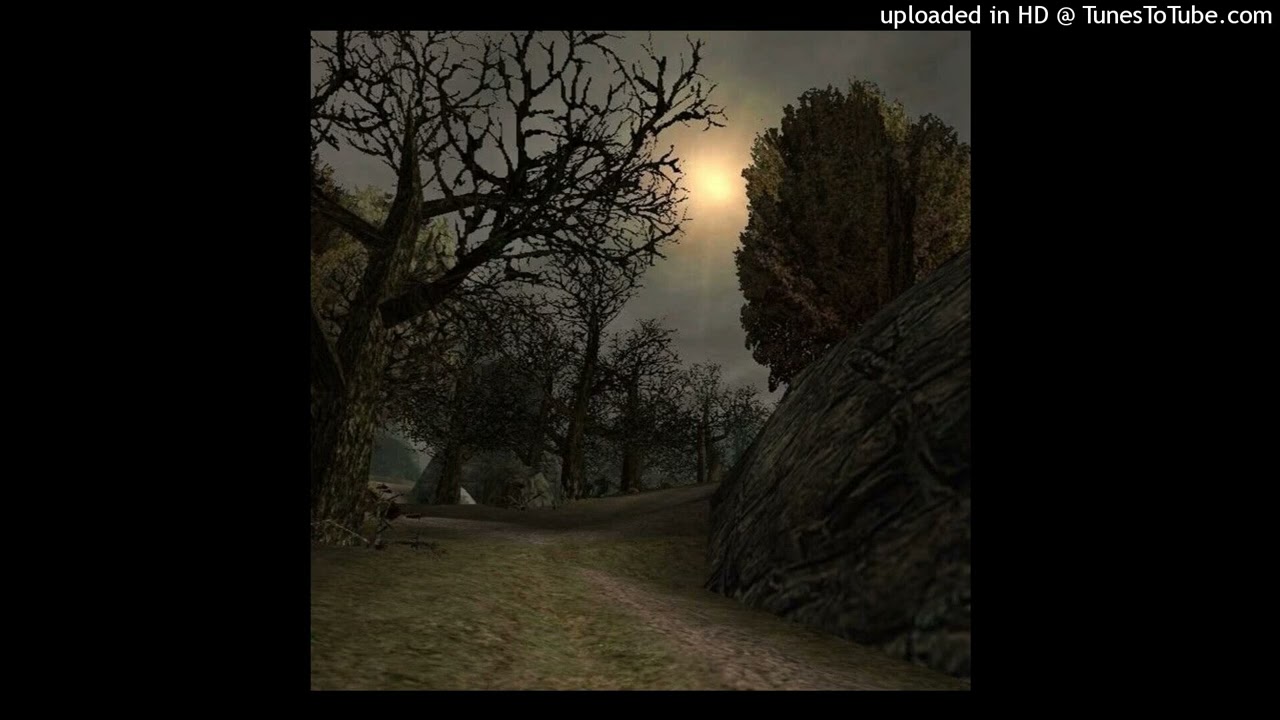 *free* kucelb x dark plugg - sunset (prod. fonzykk)