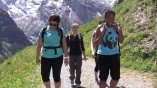 International Field Research: Kelly Mason