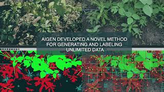 Detailed Aigen's Synthetic Data for Agriculture Profile