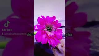 jum'at berkah barakallahhufikum 🤲🤲