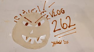 Vlog 262
