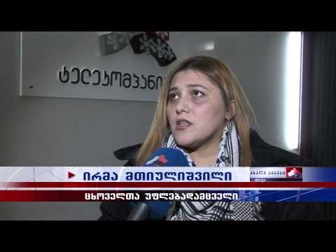 თავშესაფარში სიცივის გამო ლეკვები იხოცებიან 23.01.2015