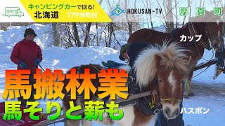 【厚真町】馬搬林業の馬の大きさにビビりました‼～北海道キャンピングカー冒険 144/179市町村