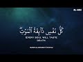 ساعة كاملة🕛🎧 | تلاوة تقشعر لها الأبدان بصوت محمد هشام | Reciter Mohamed Hesham | 🧡🎧