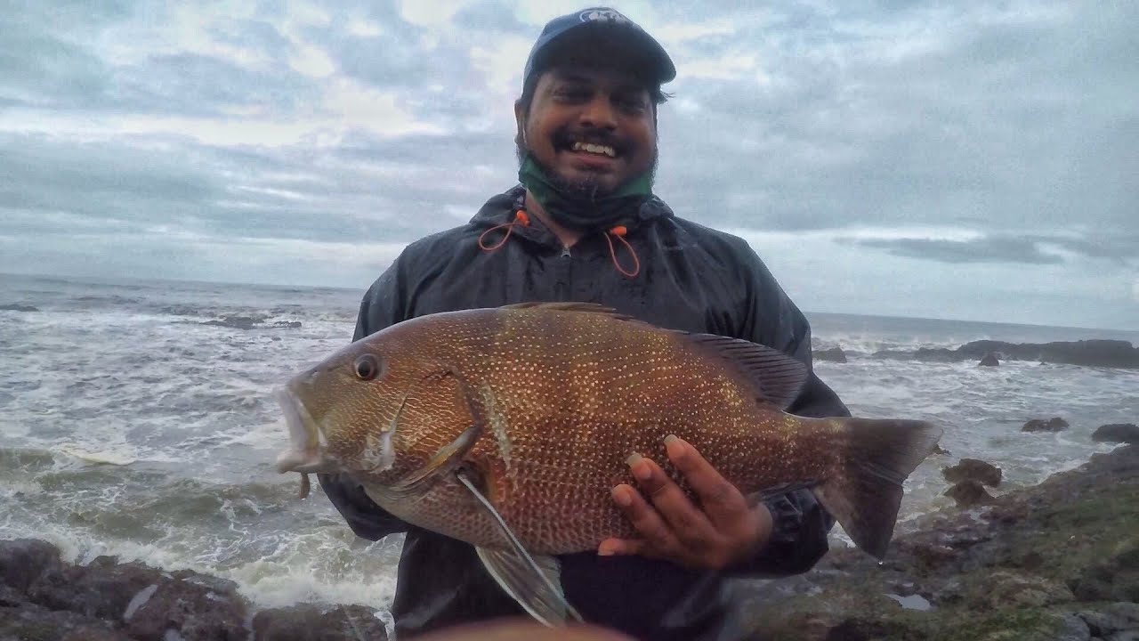 Goa Fishing Big 2 5KG Blubber Lips Snapper And Silver Bream India goa-fishing-big-2-5kg-blubber-lips-snapper-and-silver-bream-india