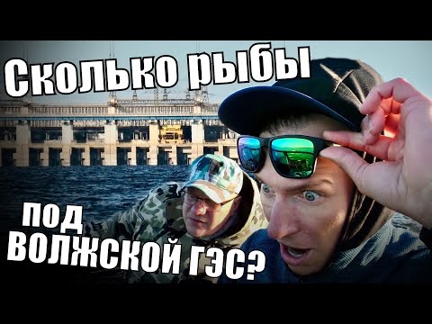 Сколько РЫБЫ под ВОЛЖСКОЙ ГЭС? На лодке по Волгограду с ихтиологом