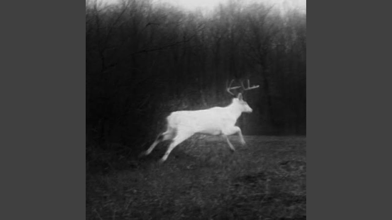 MY SOUL WILL REMEMBER