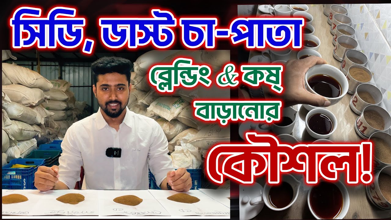 সিডি, ডাস্ট চা পাতা ব্লেন্ডিং ও কষ বাড়ানোর টিপস | Rajdhani tea