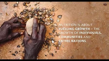 How can Agriculture and Food System Policies improve Nutrition?