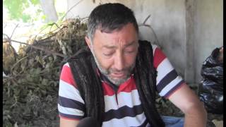 Hara Gedirəm Qovurlar