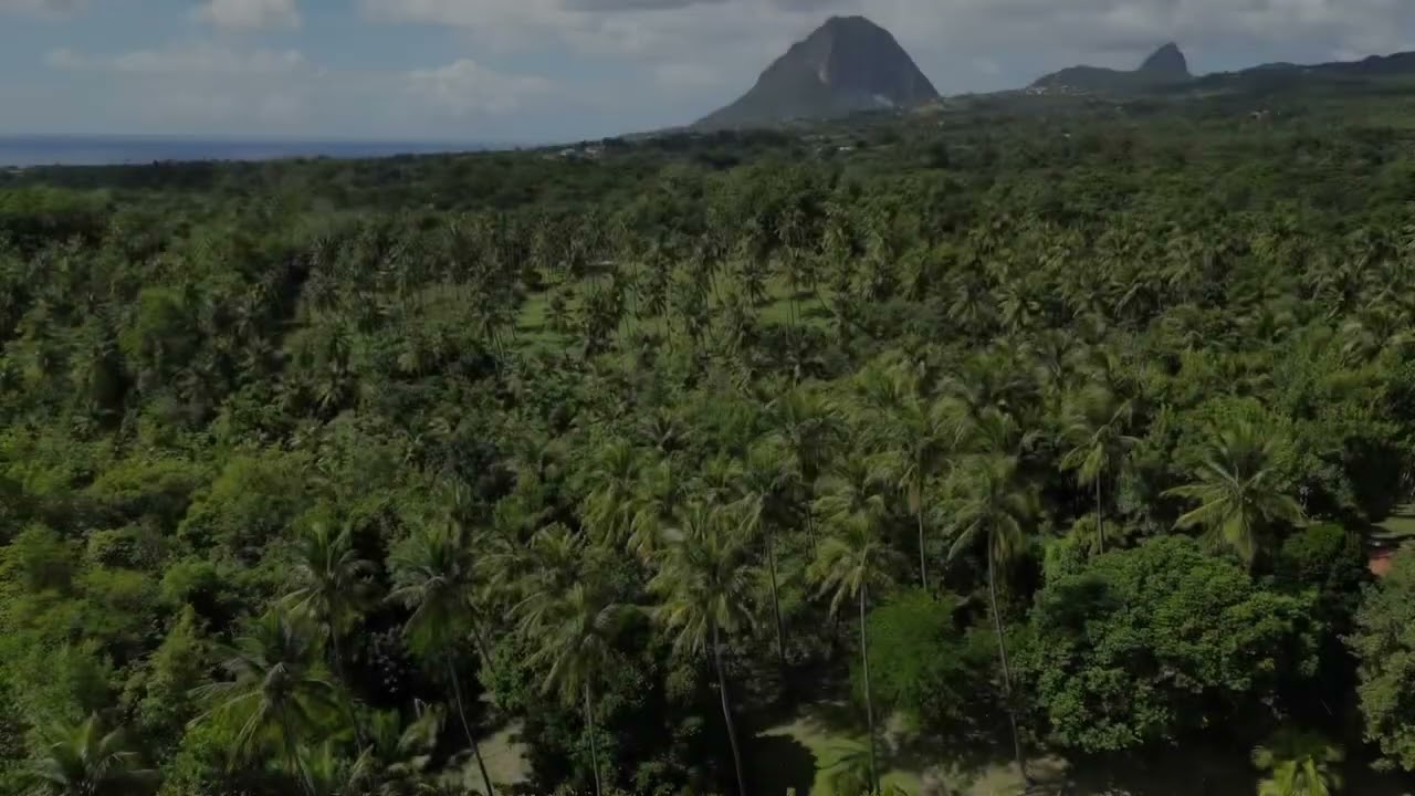 My first ever video shot with my iPhone 14 Pro Max and my mini 3 pro that I invested in. Rate 1 to10