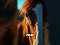 ¡Tu caballo siente TODO lo que eres! 😲🐴